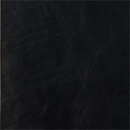 Sable