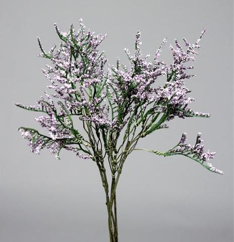 Каспия лавандовая