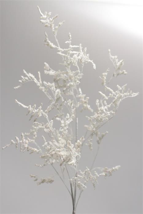 Ветка заснеженная Ветка заснеженная