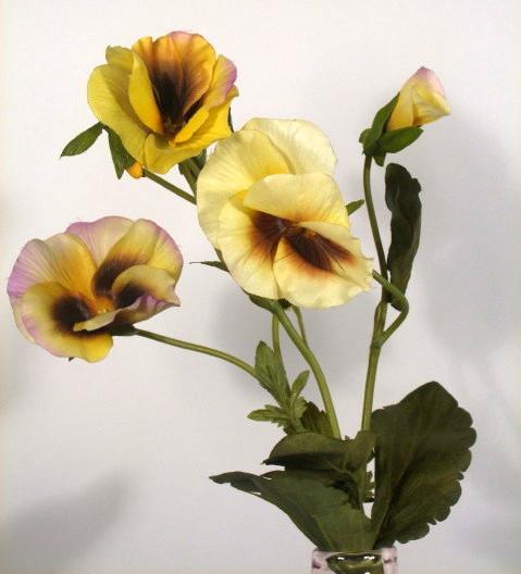 Анютины глазки желтые Анютины глазки желтые