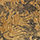 NobilityStripe