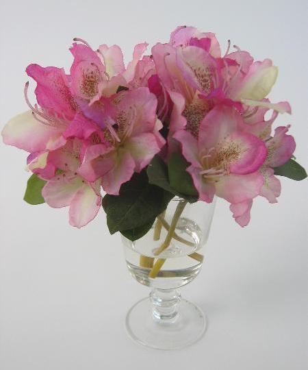 Рододендрон в вазе Рододендрон в вазе