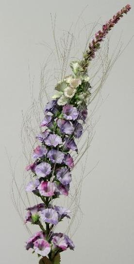 Кошачья лапка лавандовая Кошачья лапка лавандовая