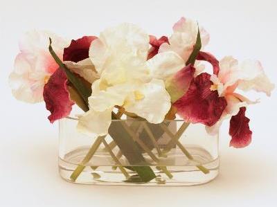 Ирис в вазе Ирис в вазе