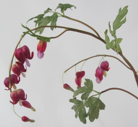 Разбитое сердце Разбитое сердце