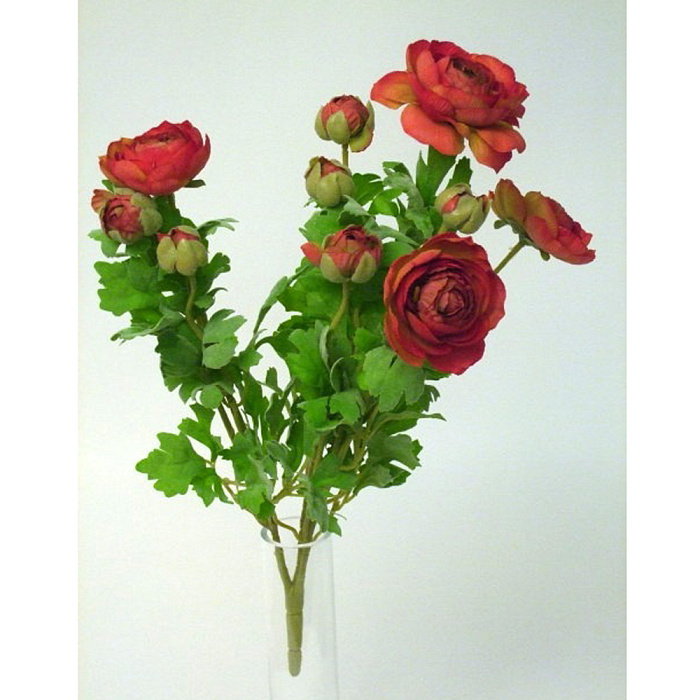 Лютик кустовой красный Лютик кустовой красный