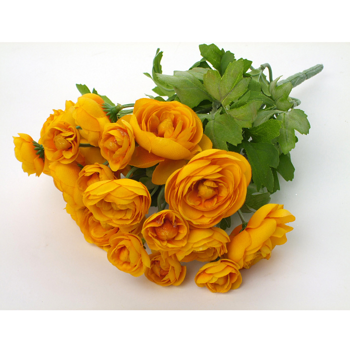 Лютик кустовой желтый Лютик кустовой желтый