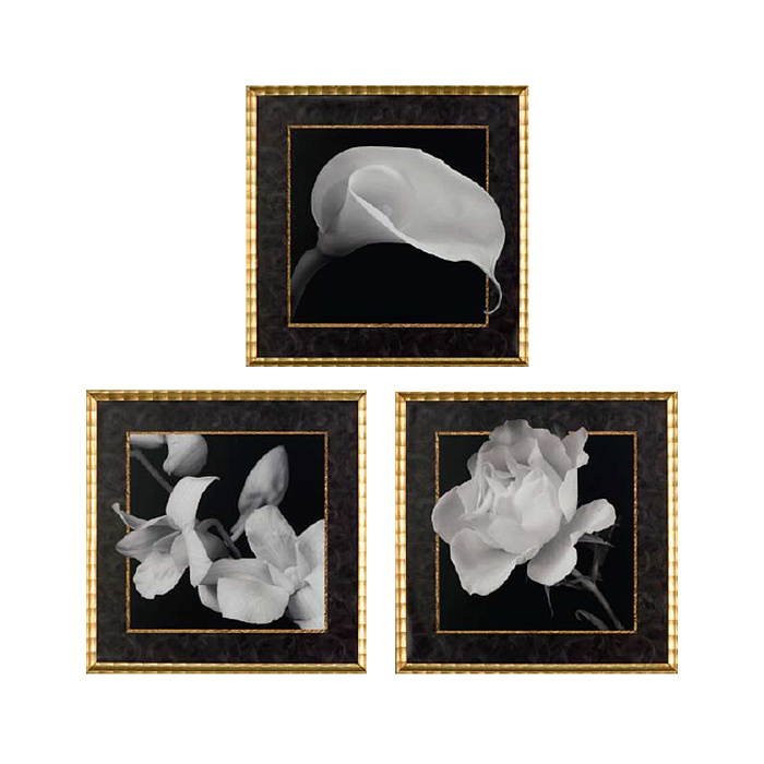 Картины "Черно-белая тайна" Картины "Черно-белая тайна"