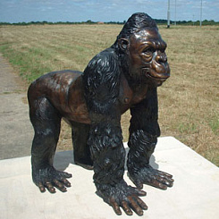 Горилла